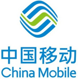 第41616716号“焰火全球通”