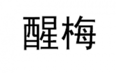 “醒梅”商标驳回复审