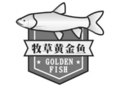 “牧草黄金鱼 GOLDEN FISH及图”商标驳回复审