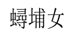 第33169697号“蟳埔女”商标驳回复审
