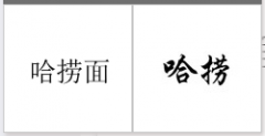 “哈捞面”商标驳回复审