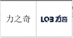 “力之奇”商标驳回复审