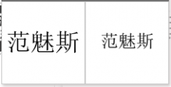 “范魅斯”商标驳回复审